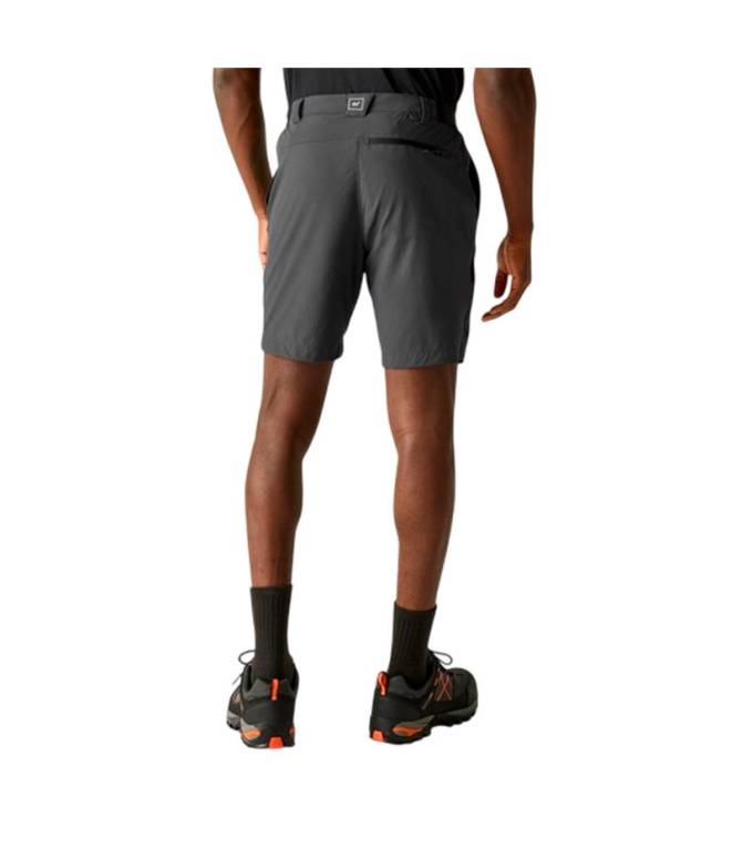 Pantalon Montagne Regatta A-Insttvlltshts Ash...