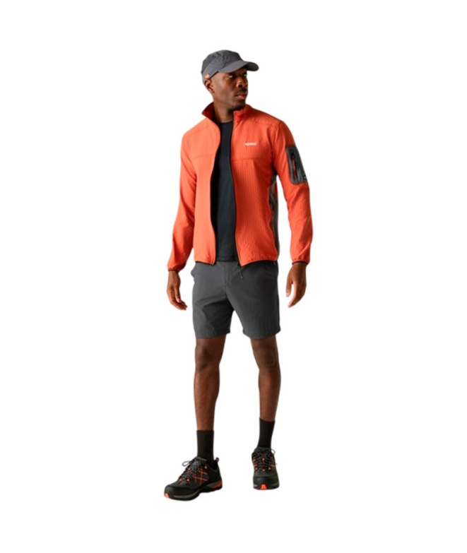 Calça Montanha Homem Regatta A-Insttvlltshts Ash