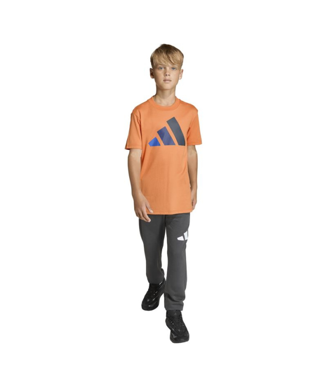 Camiseta adidas Big Logo 160 Infantil...
