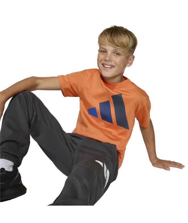 Camiseta adidas Big Logo 160 Infantil...