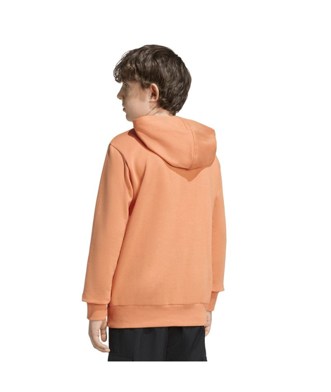 Sudadera adidas Linear Fl Hd Infantil Naos/Blanco