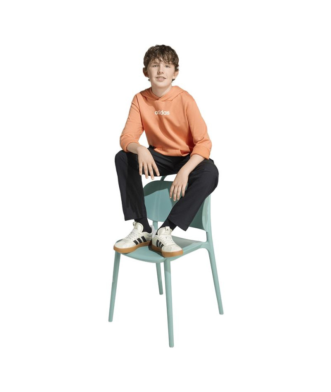 Sudadera adidas Linear Fl Hd Infantil Naos/Blanco