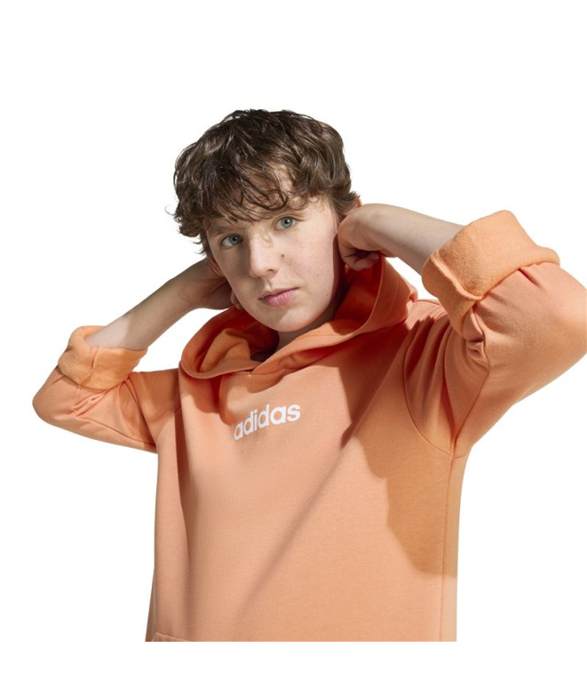 Sudadera adidas Linear Fl Hd Infantil Naos/Blanco