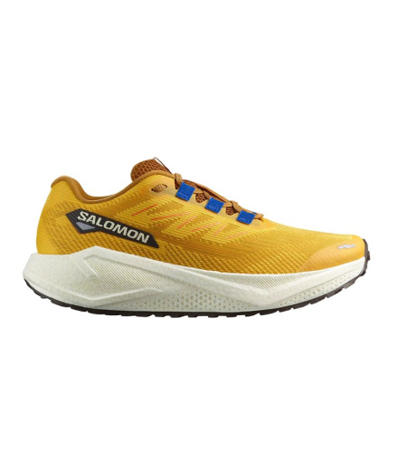 Zapatillas de Running Salomon Aero Blaze 3 Grvl Spicy...