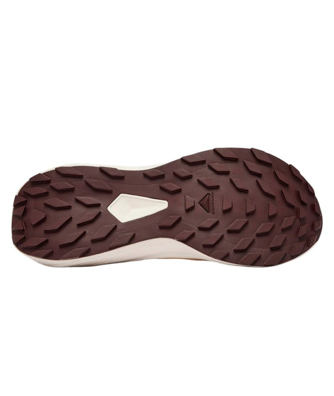 Chaussures Trail Salomon Alphaglide Femme...