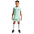 Camiseta Futebol Infantil Nike Stadium Fff Aw verde