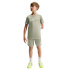 Camiseta treino Nike Dri-FIT infantil Menino , cinza-névoa/verde/branca