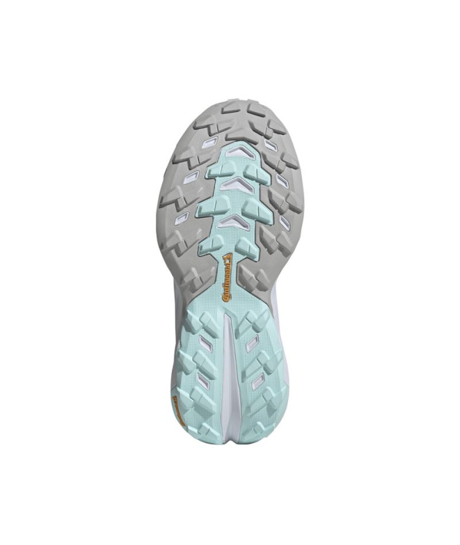 Chaussures Montagne Femme adidas Terrex...