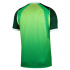 Camiseta Futebol Homem Nike Nff Df Jsy Ss Stad Hm verde