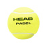 Cajón de Pelotas de Pádel Head Team 3B Head 6Dz