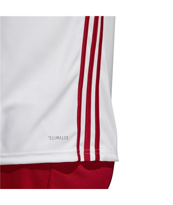Camiseta de fútbol adidas Regista 18