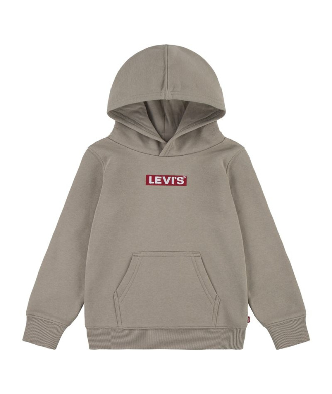 Sudadera Levi's Boxtab Hoodie Rusty Aluminum Niño