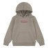 Sudadera Levi's Boxtab Hoodie Rusty Aluminum Niño