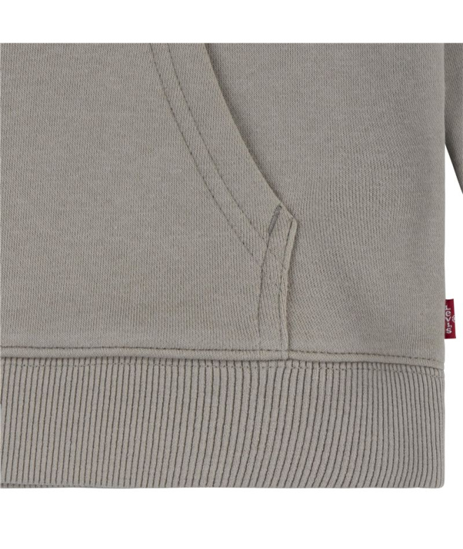 Sudadera Levi's Boxtab Hoodie Rusty Aluminum Niño