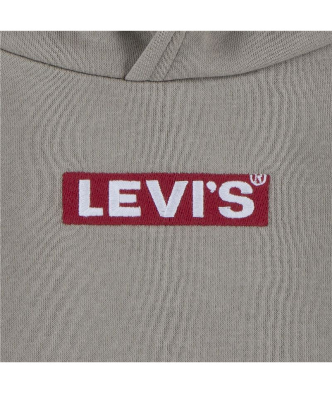 Sudadera Levi's Boxtab Hoodie Rusty Aluminum Niño