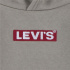 Sudadera Levi's Boxtab Hoodie Rusty Aluminum Niño