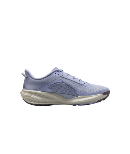 Chaussures de Trail Nike Acg Pegasus Trail Femme Gris