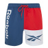 Fato de banho Reebok Clayton Vector Azul homem Praia e piscina