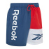Fato de banho Reebok Clayton Vector Azul homem Praia e piscina