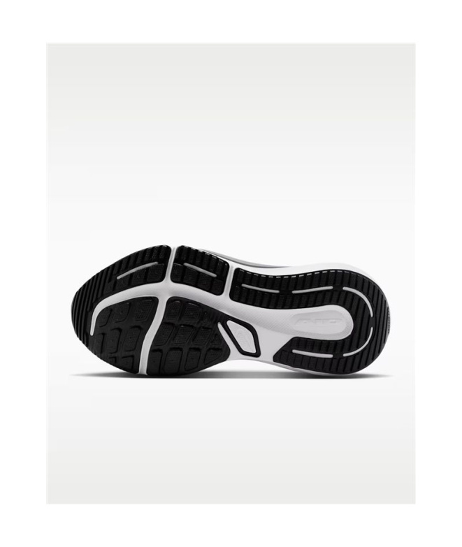 Zapatillas de Running Nike Air Winflo 12 Mujer...