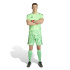 Calça Futebol adidas T26 C Gk M Lime Burst