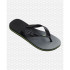 Chanclas Havaianas Brasil Fresh Gris