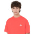 Camiseta Homem Dickies Summerdale Coral