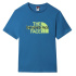 Camiseta The North Face Graphic, tamanho M, azul