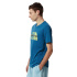 Camiseta The North Face Graphic, tamanho M, azul
