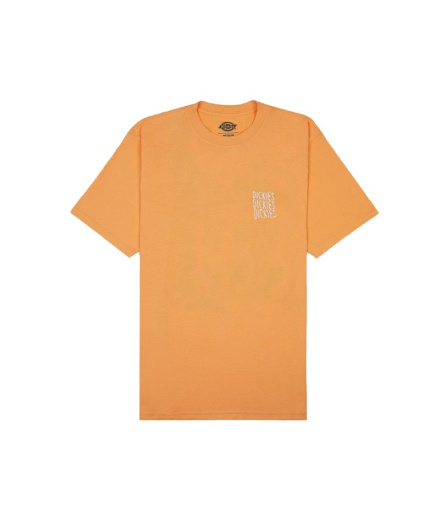 Camiseta Homem Dickies Creswell Papaya