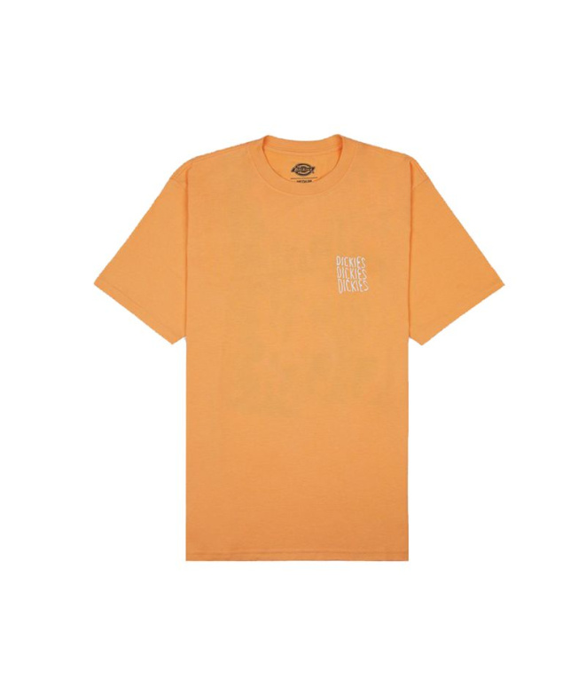 Camiseta Homem Dickies Creswell Papaya