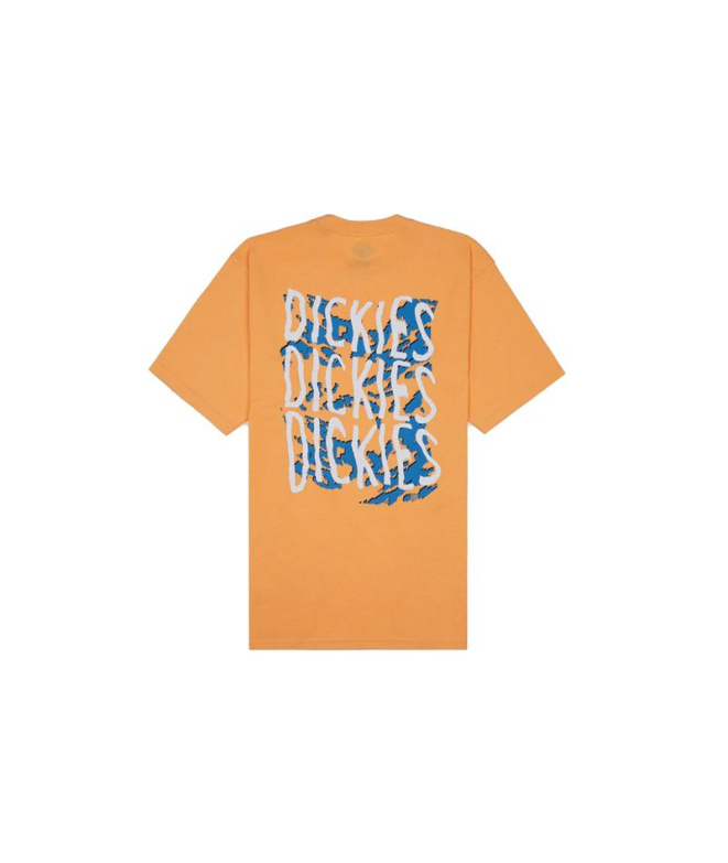 Camiseta Homem Dickies Creswell Papaya
