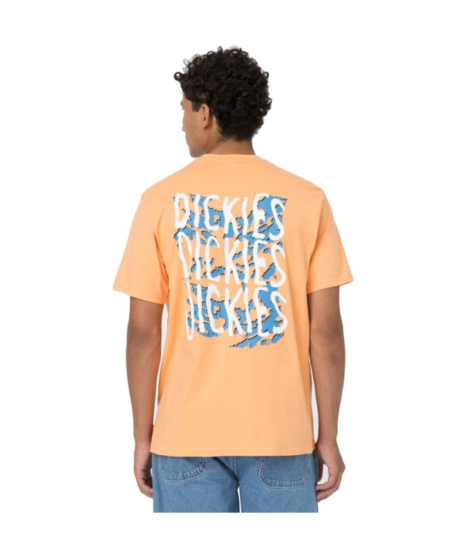 Camiseta Homem Dickies Creswell Papaya