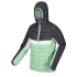 Veste Montagne Femme Regatta Harrock II Vert/Gris clair