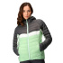 Veste Montagne Femme Regatta Harrock II Vert/Gris clair