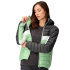 Veste Montagne Femme Regatta Harrock II Vert/Gris clair
