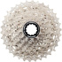 Cassette de piñones Shimano 12V 11-34T
