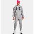 Sudadera de Trainning Under Armour Rival Big Logo