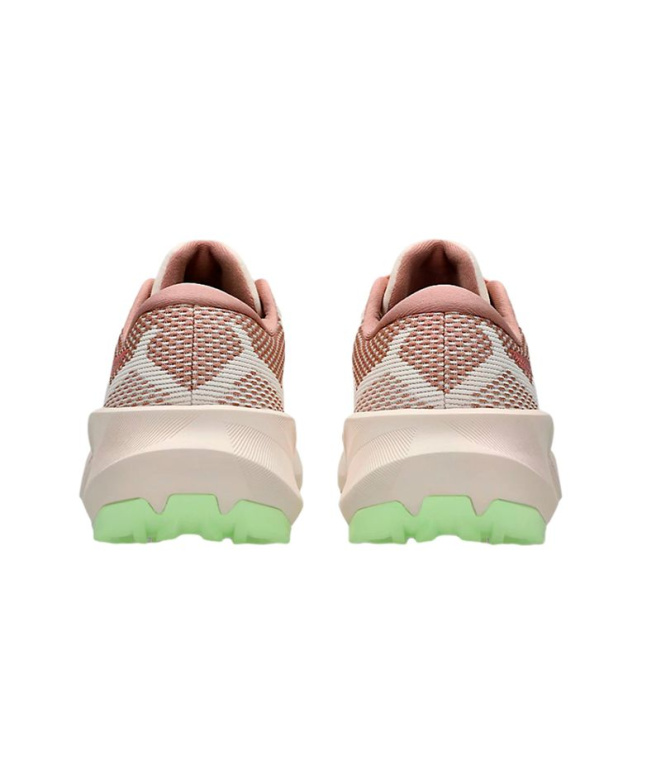 Sapatilhas Running Mulher Asics Trabuco 14, cor...