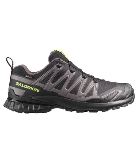 Chaussures Trail Salomon XA Pro 3D V9 GTX Noir/G...