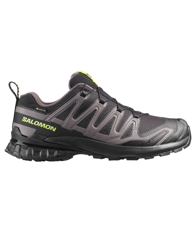 Chaussures Trail Salomon XA Pro 3D V9 GTX...