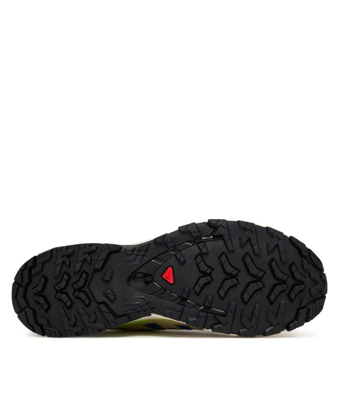 Zapatillas de Trail Salomon Xa Pro 3D V9...