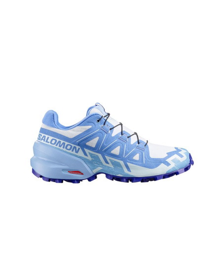 Chaussures Trail Salomon Speedcross 6 Anciew/Brunnb/Persi...