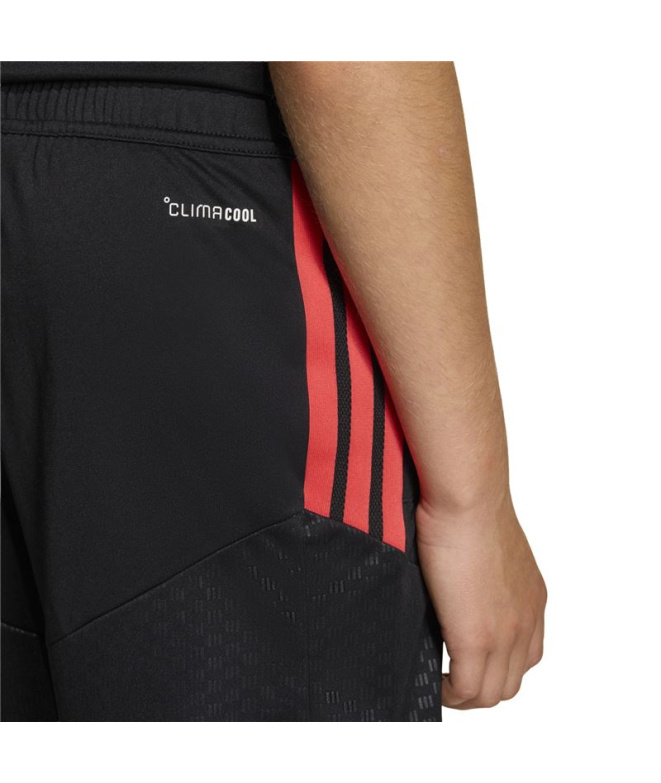Pantalons Football Enfant adidas Tiro26C Shoy...