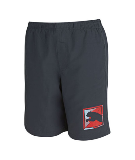 Roupa desportiva Calças Puma TD Woven