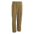Calça Montanha Masculina adidas Terrex Xploric CLIMA365 Homem Marrom