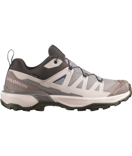 Zapatillas de Montaña Salomon X Ultra 360 Gtx Silver...