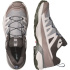 Chaussures Montagne Salomon X Ultra 360 GTX Silver Cloud Homme