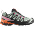 Chaussures Trail Salomon XA Pro 3D V9 GTX Icon Noir/Vert Femme