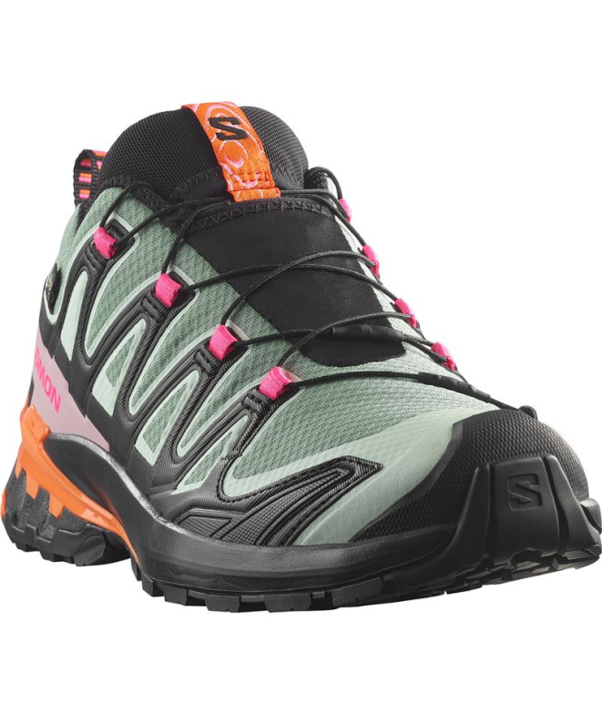 Chaussures Trail Salomon XA Pro 3D V9 GTX Icon...